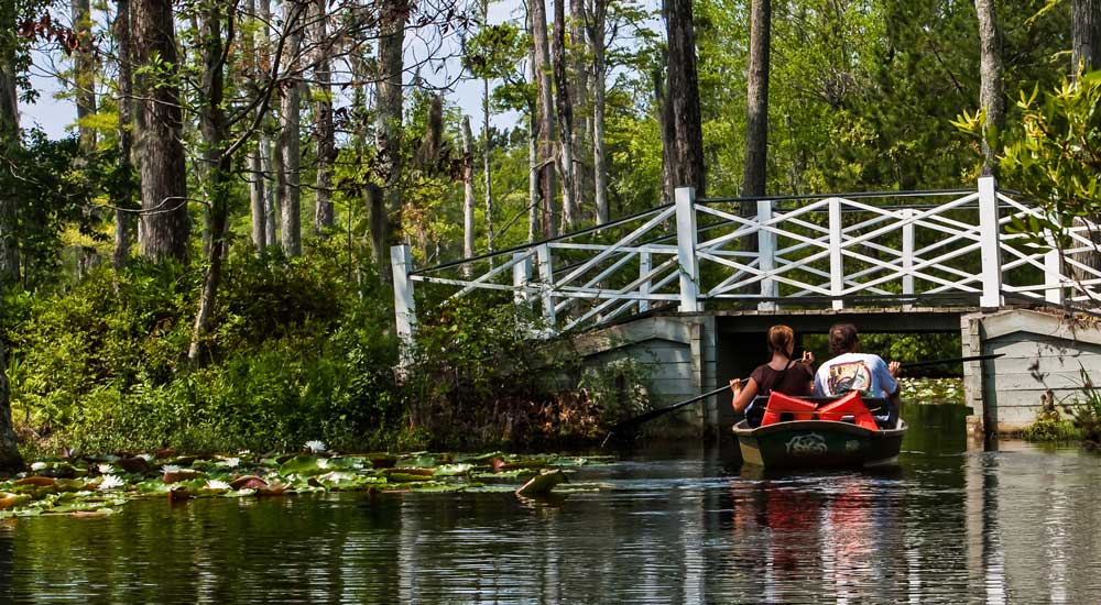 couple paddling in boat of cypress grove